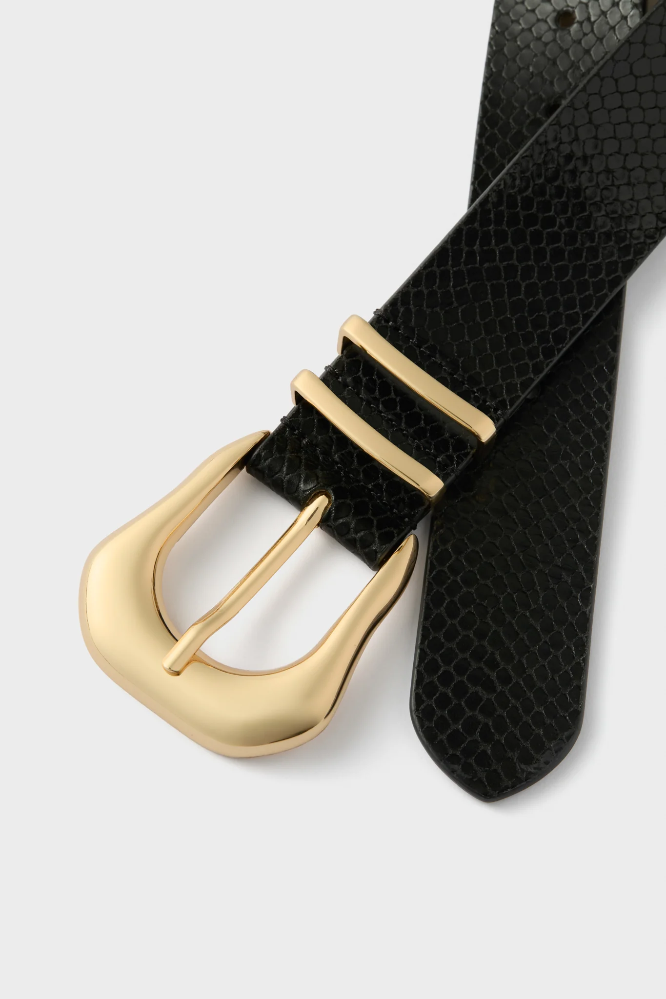 Black and Gold Koda Python Belt - Image 4