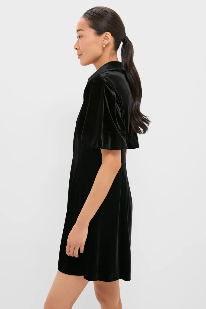 Black Velvet Mini Delaney Dress - Image 3