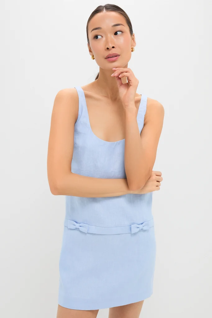 Blue Harper Mini Dress