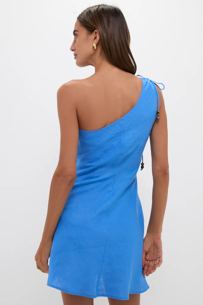 Blue Saskia Mini Dress - Image 4