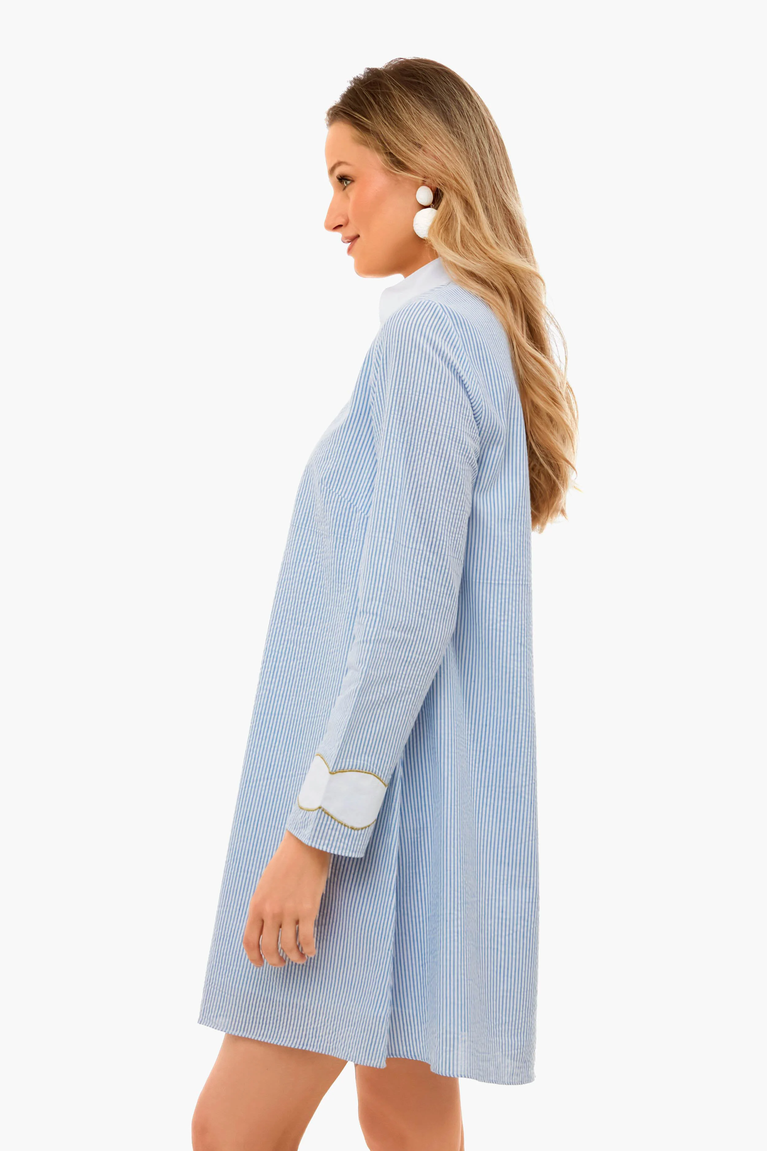 Blue Seersucker Gail Dress - Image 3