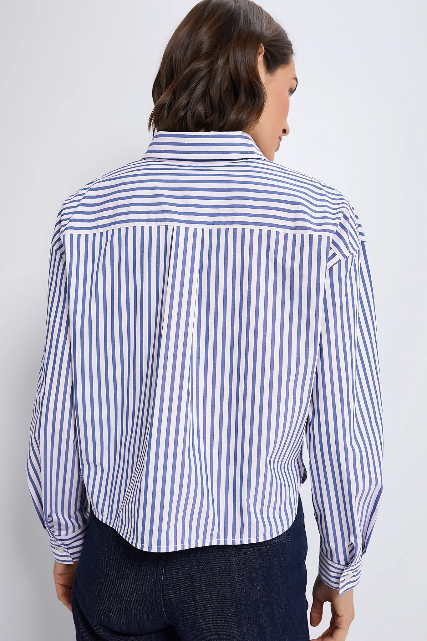 Blue Stripe Cropped Jasper Button Down - Image 5