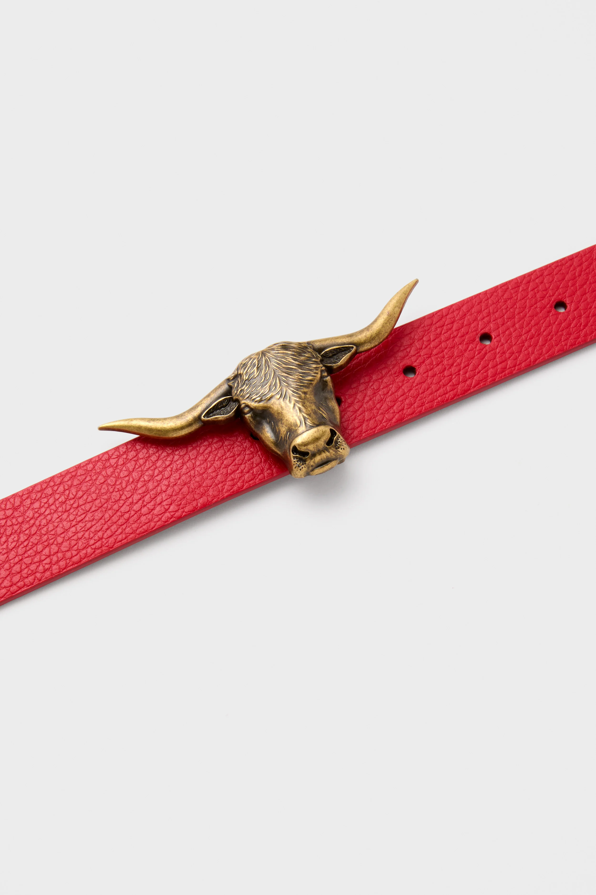 Brass Lansing Longhorn Buckle - Image 4