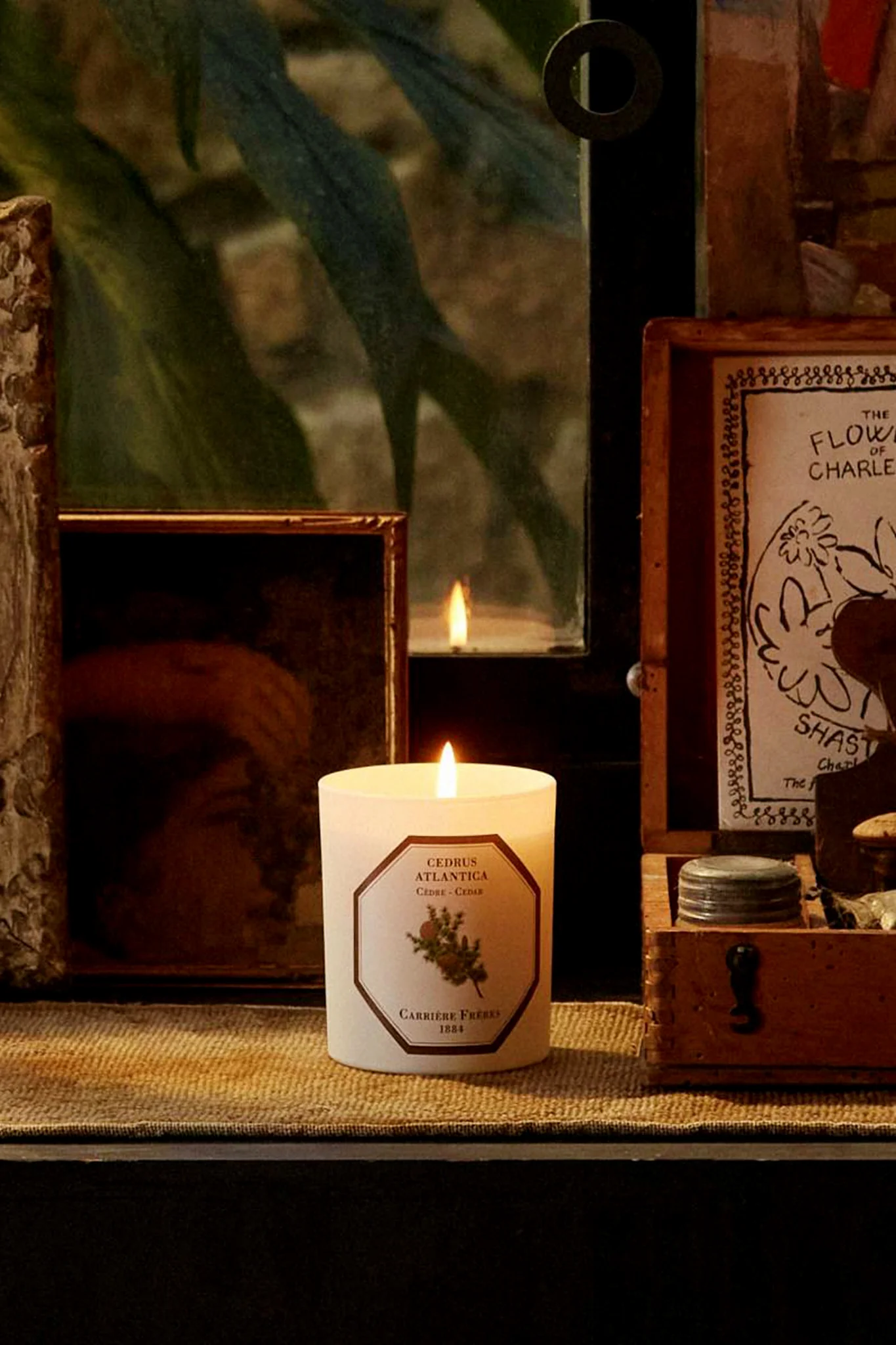 Cedar Candle - Image 4