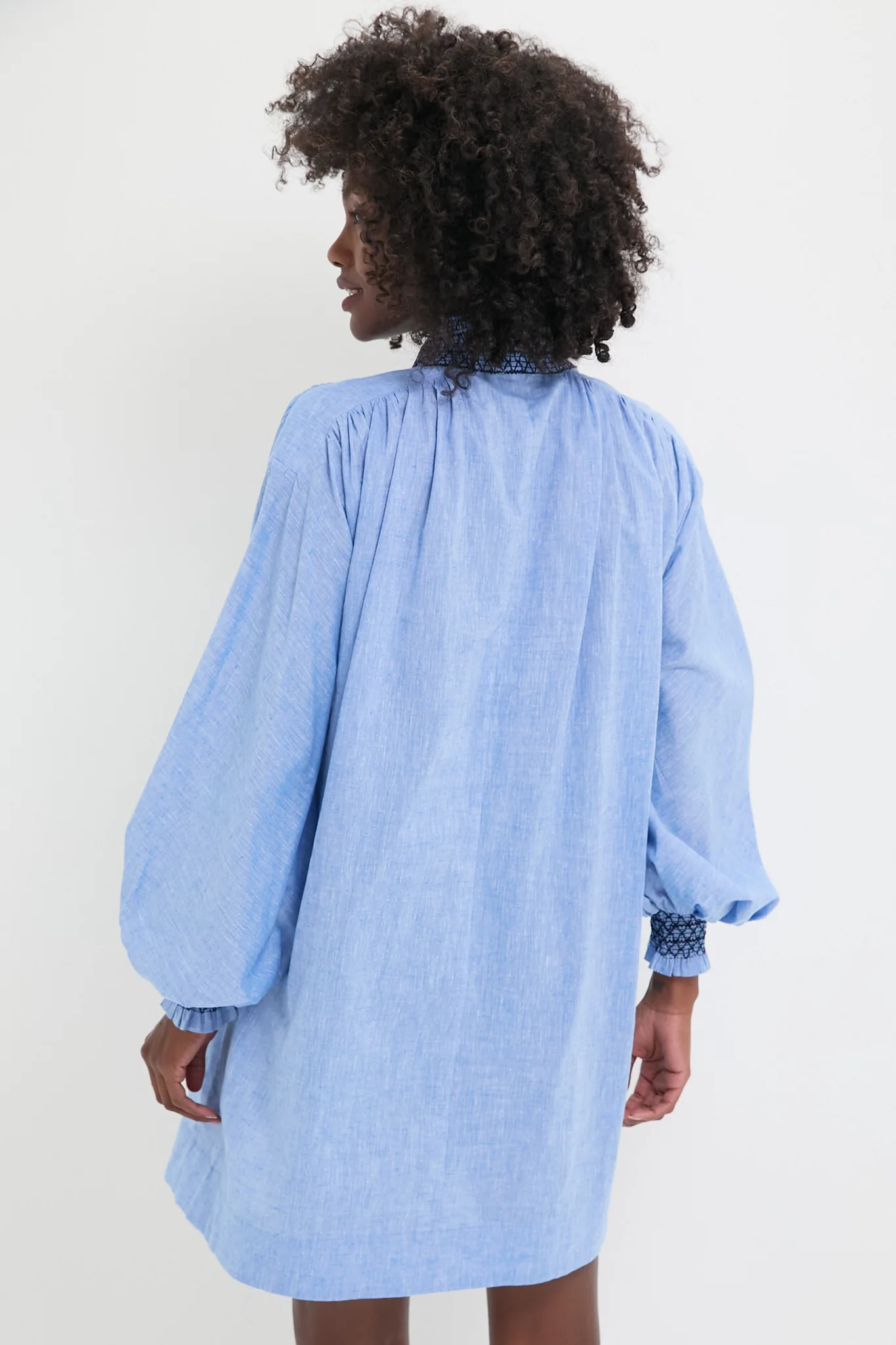 Chambray Embroidered Aubury Dress - Image 4
