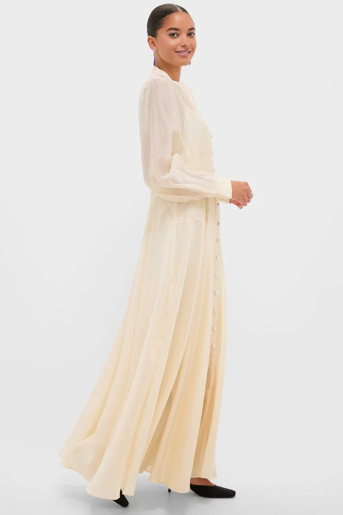 Champagne Organza Marbella Dress - Image 4