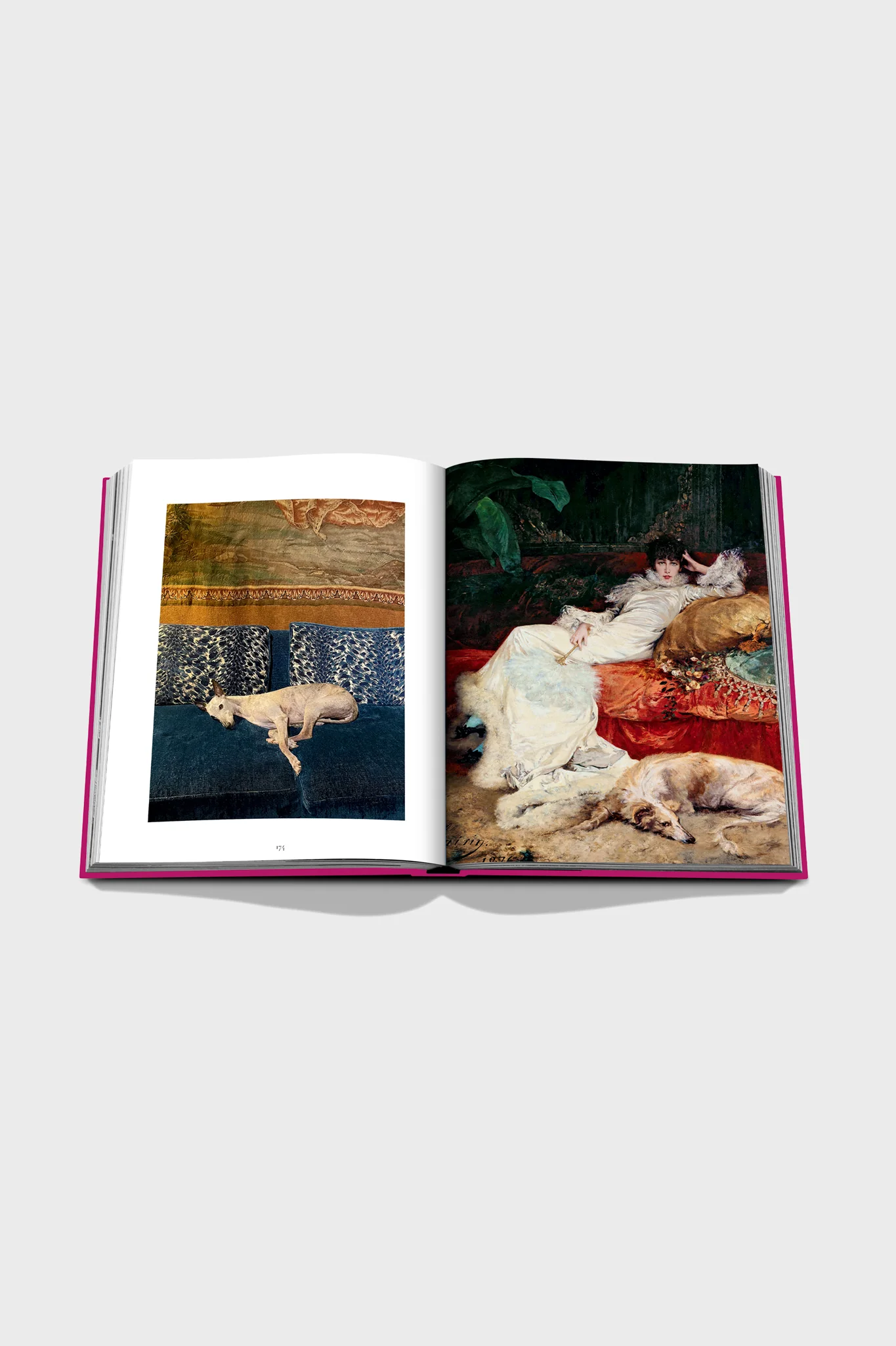 Chic Dogs - Image 3