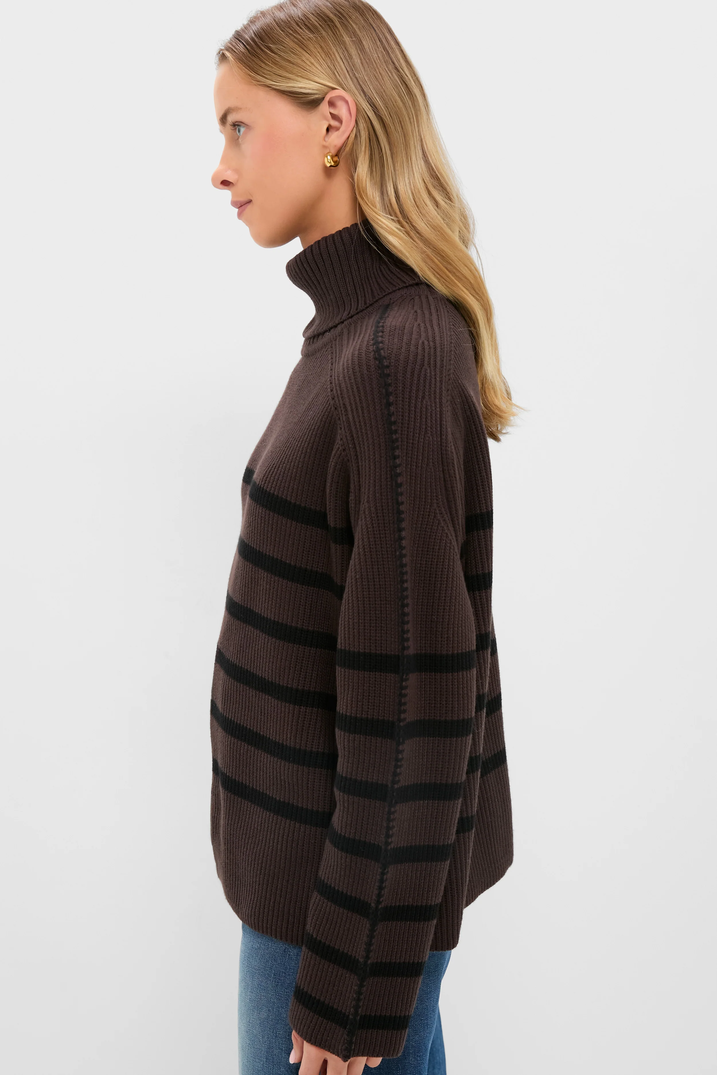 Chocolate & Black Striped Emsley Turtleneck - Image 3