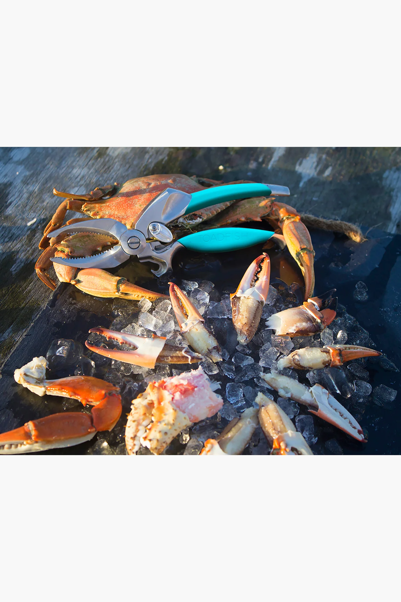 Crab and Lobster Tool Set - Image 5