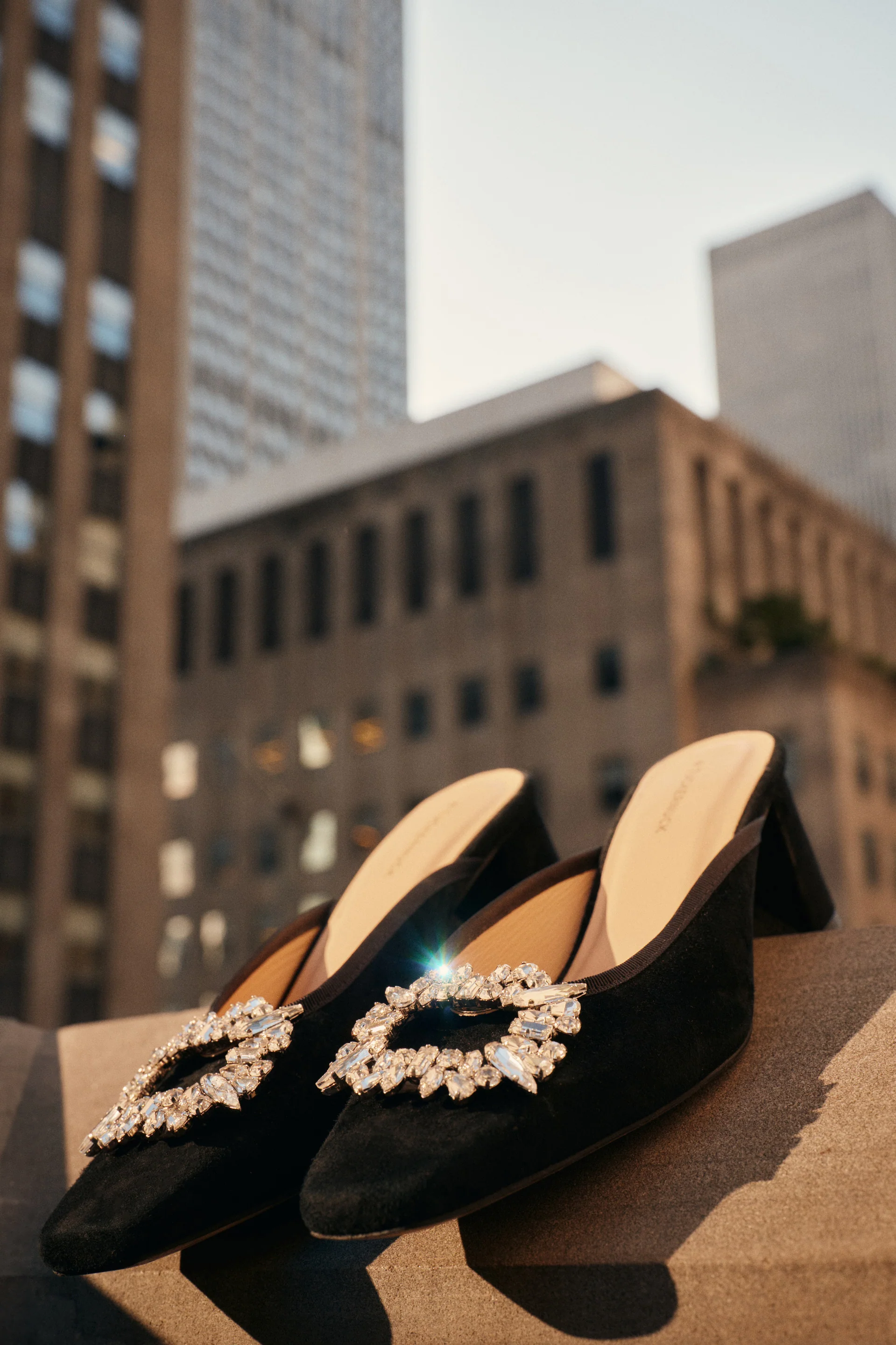 Crystal Shoe Clips Set - Image 2