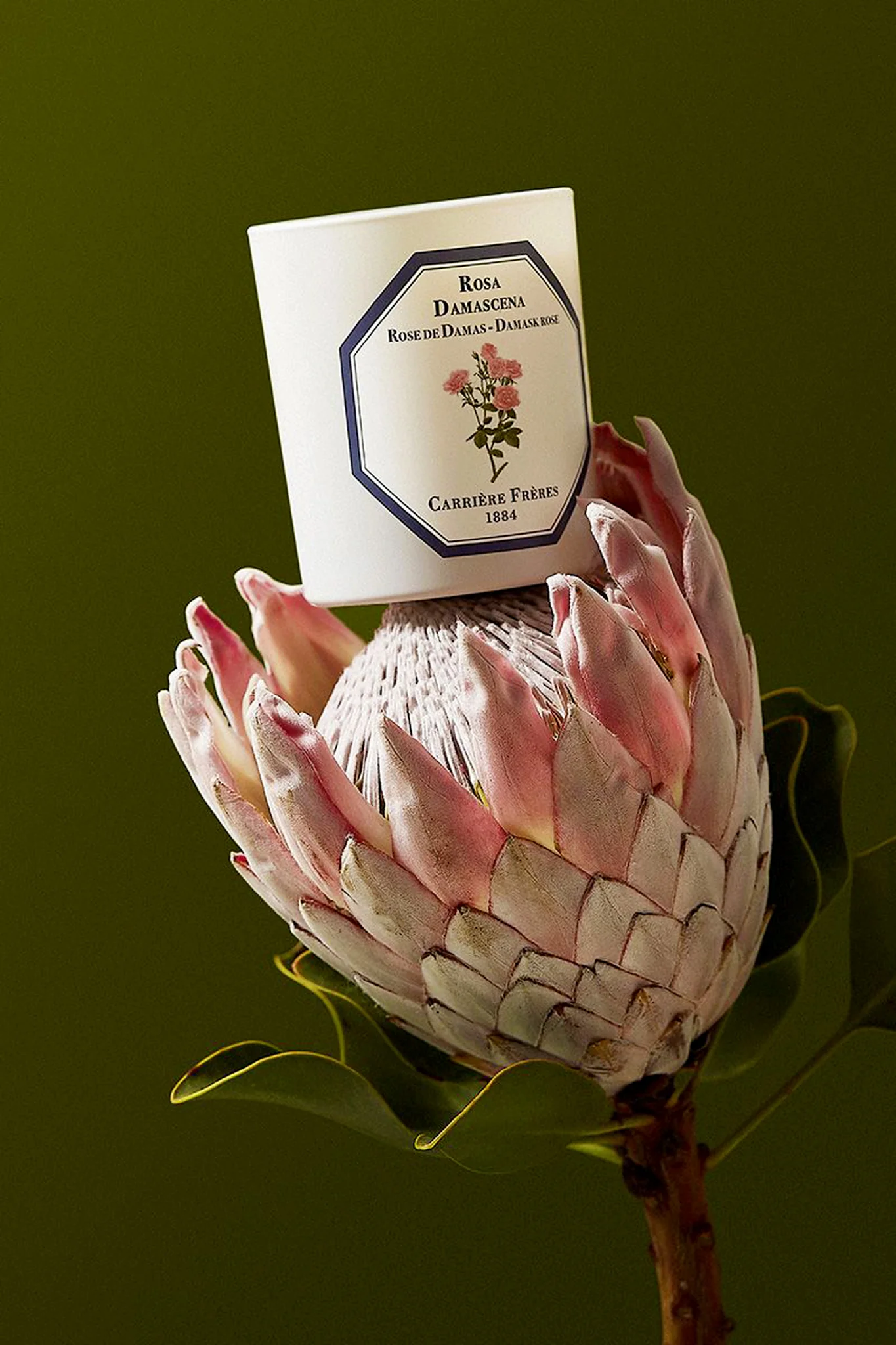 Damask Rose Candle - Image 4
