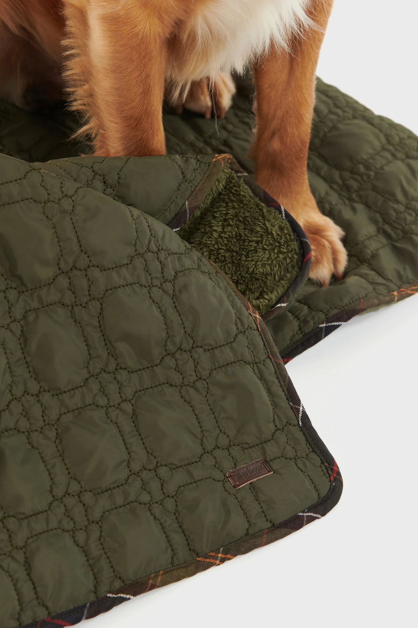 Dark Olive Dog Bone Quilted Blanket - Image 4