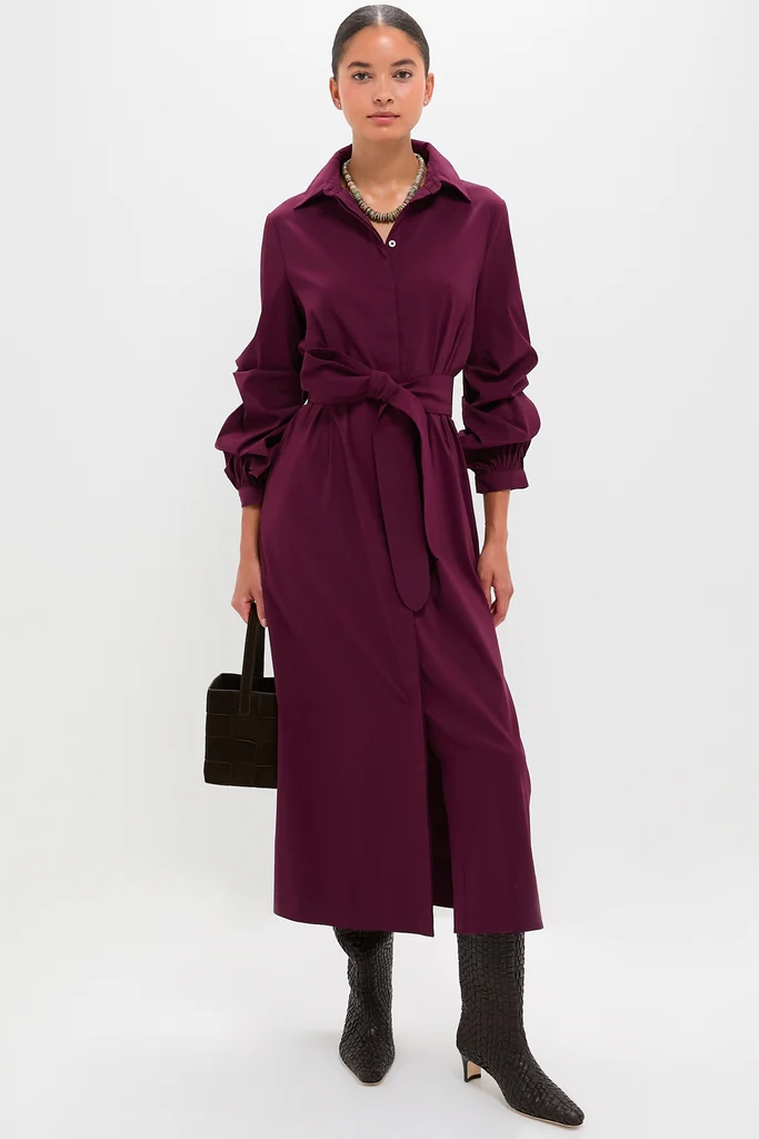 Dark Winetasting Alessia Maxi Dress - Image 2