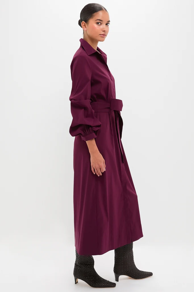Dark Winetasting Alessia Maxi Dress - Image 3