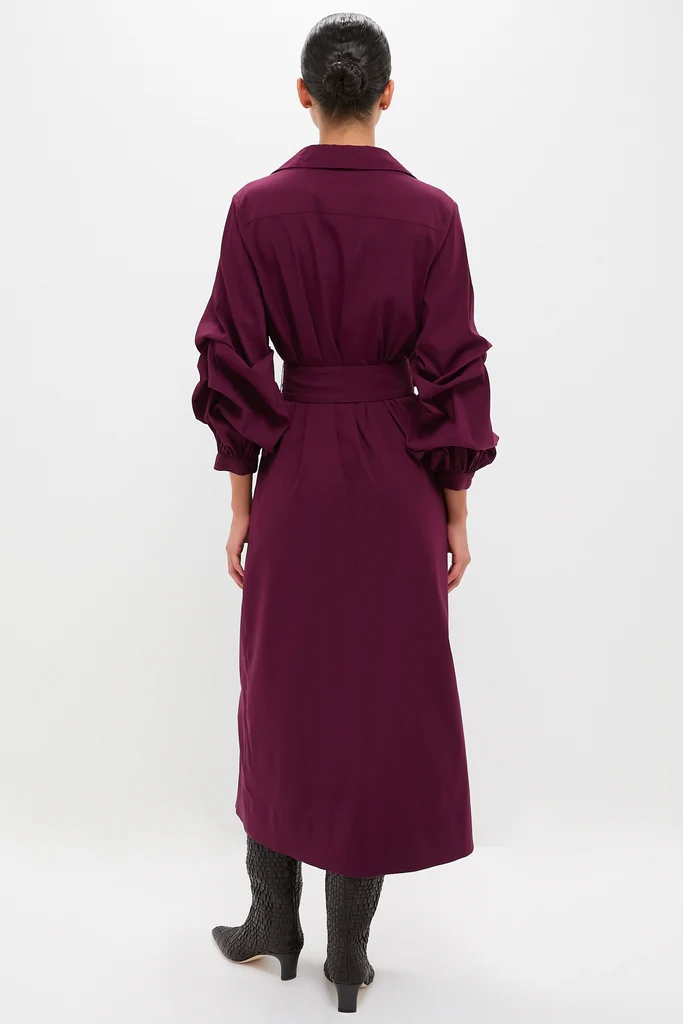 Dark Winetasting Alessia Maxi Dress - Image 4