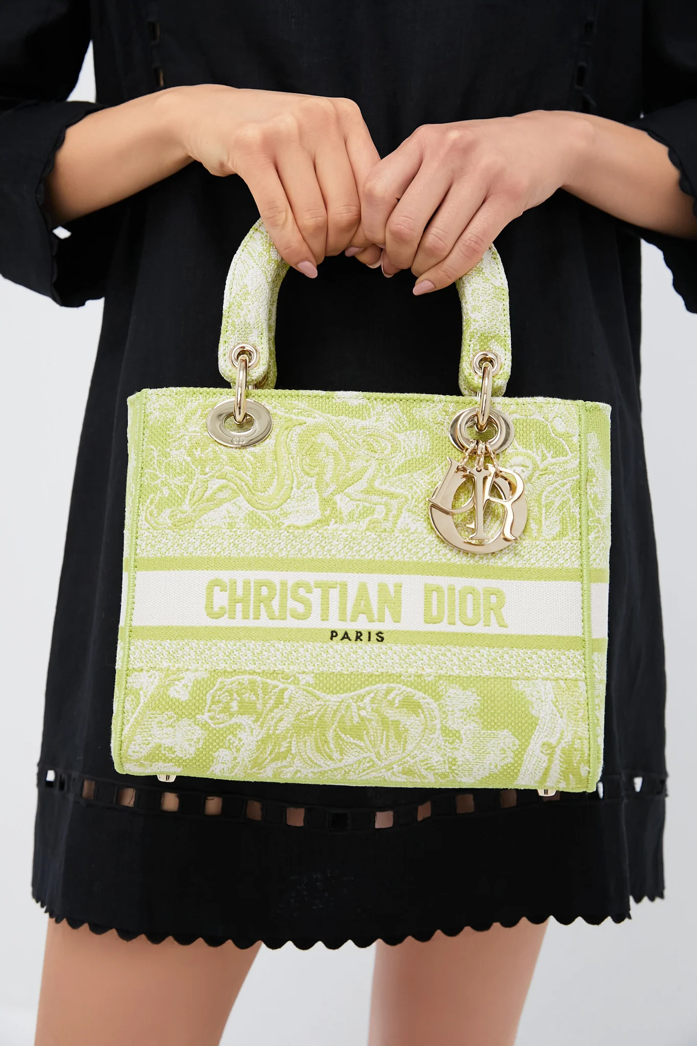 DIOR Embroidered Canvas Toile De Jouy Lady D-Lite Bag - Image 2