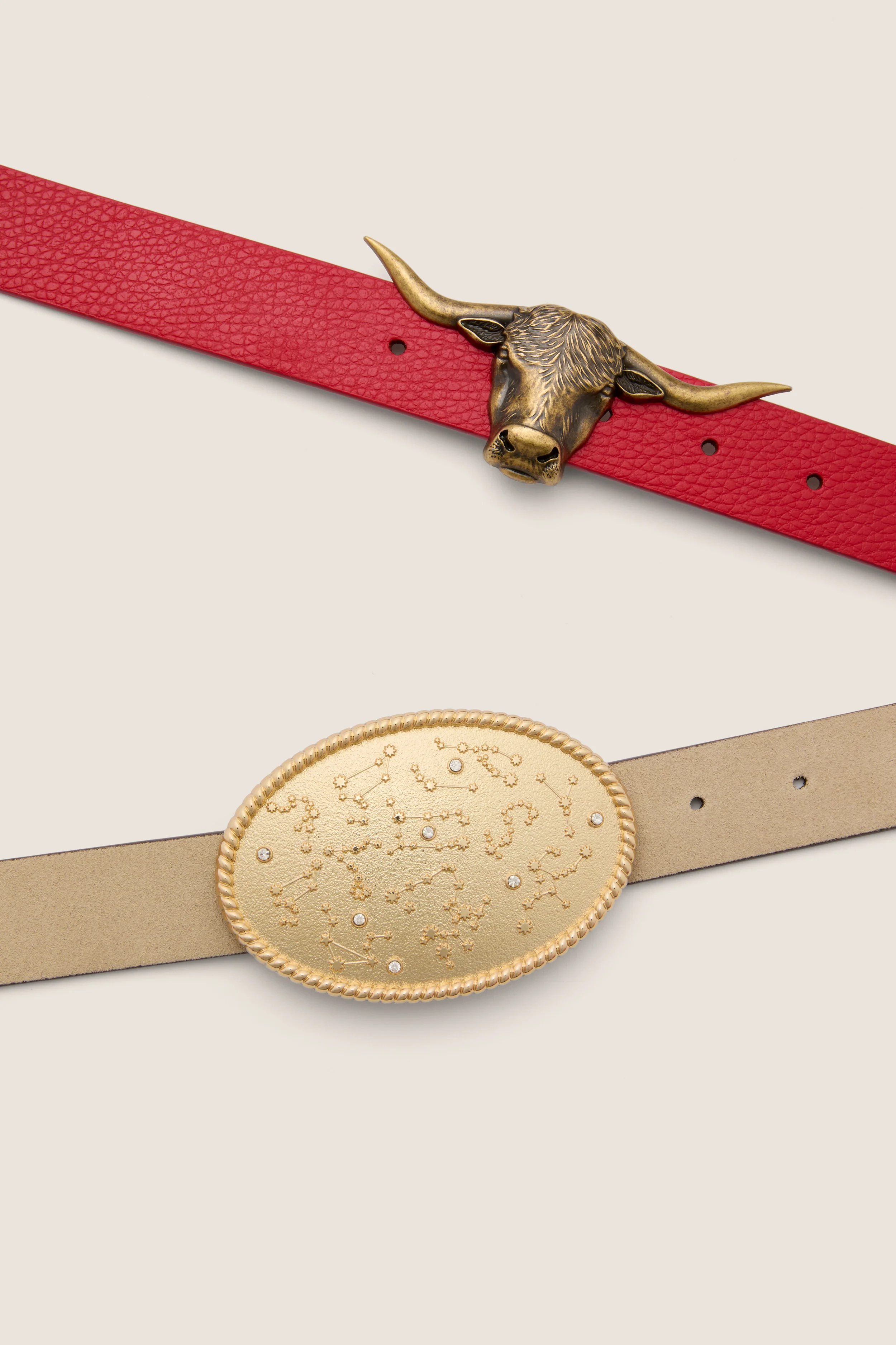 Espresso and Chantilly Suede Belt - Image 6