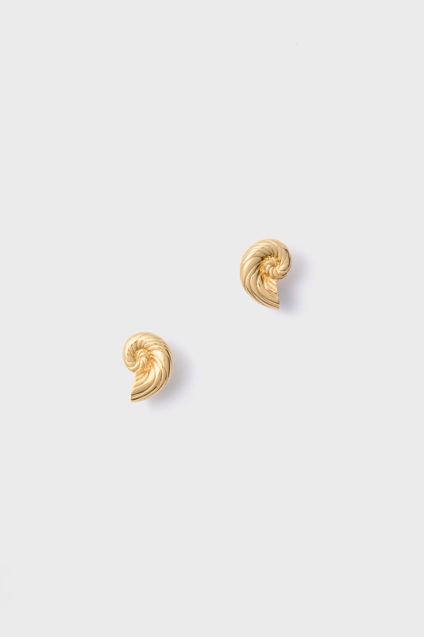 Gold Nautilus Shell Stud Earrings