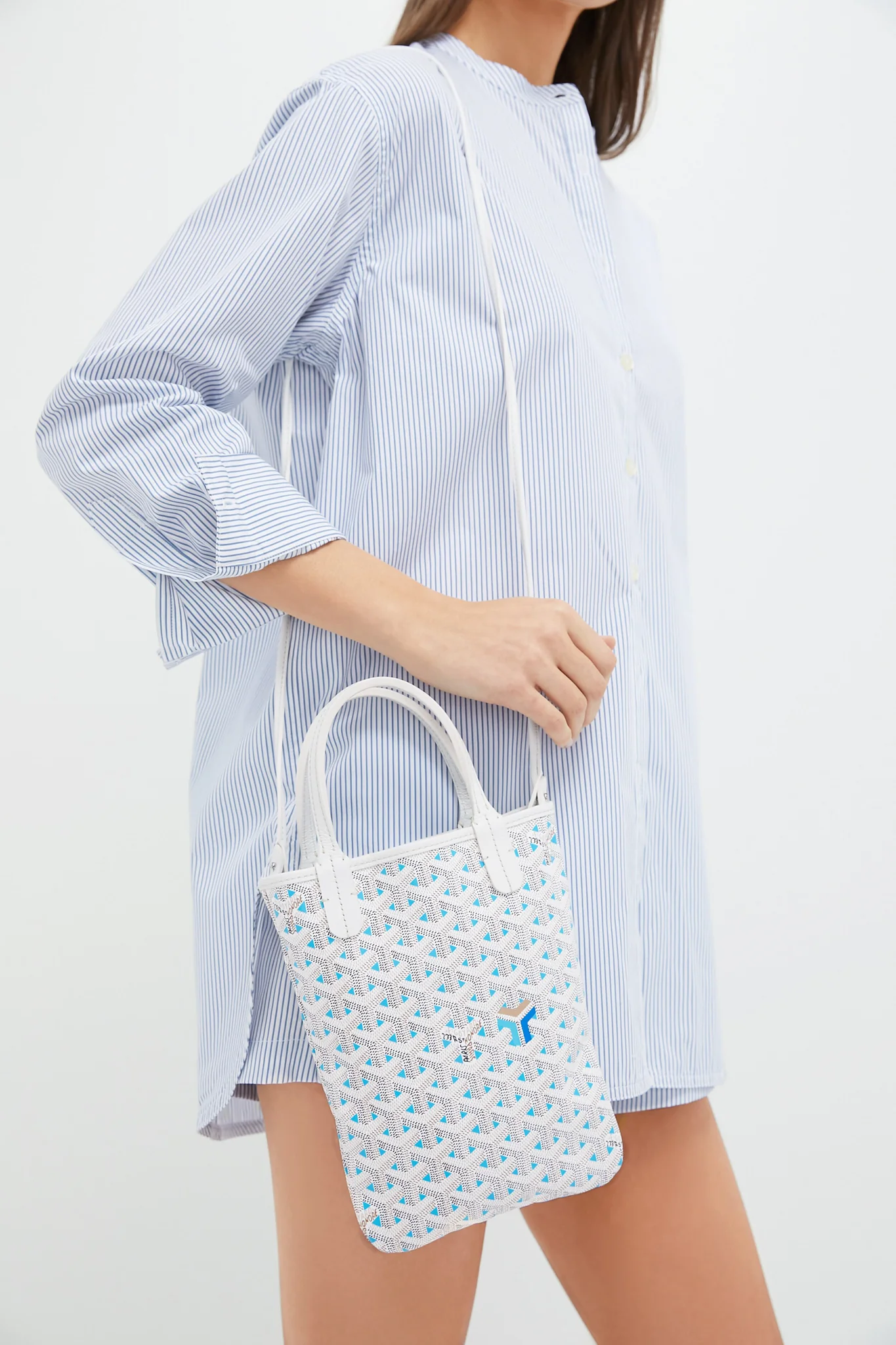 GOYARD Claire Voie Coated Canvas Mini Poitiers Tote - Image 2