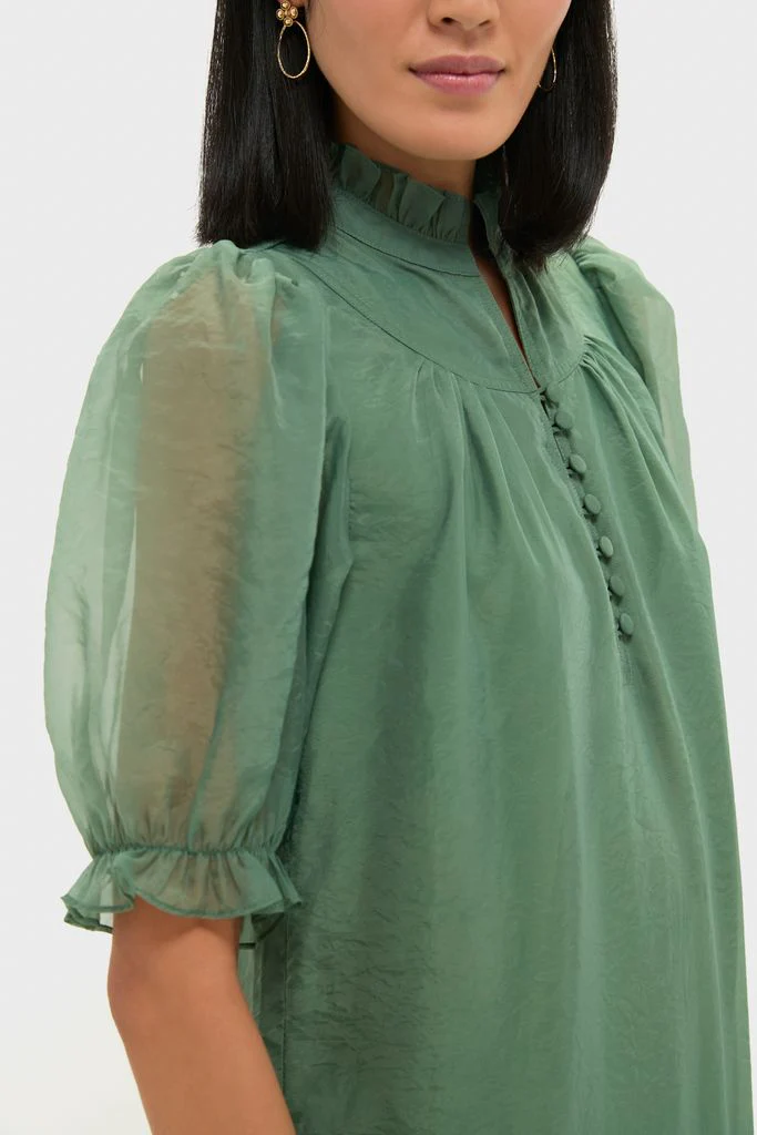 Green Chiffon Selena Maxi Dress - Image 5