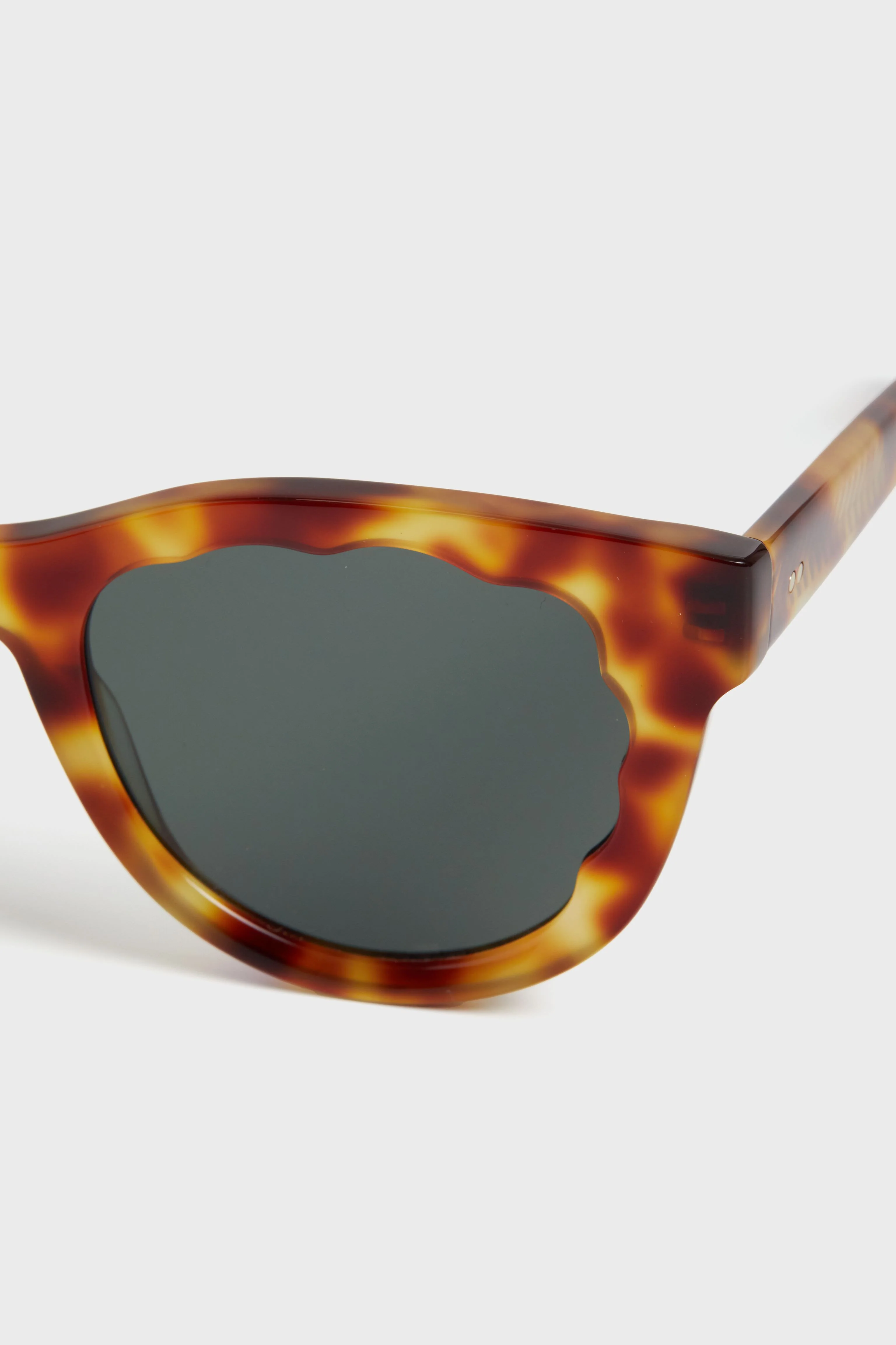 Hawksbill Ellie Sunglasses - Image 5