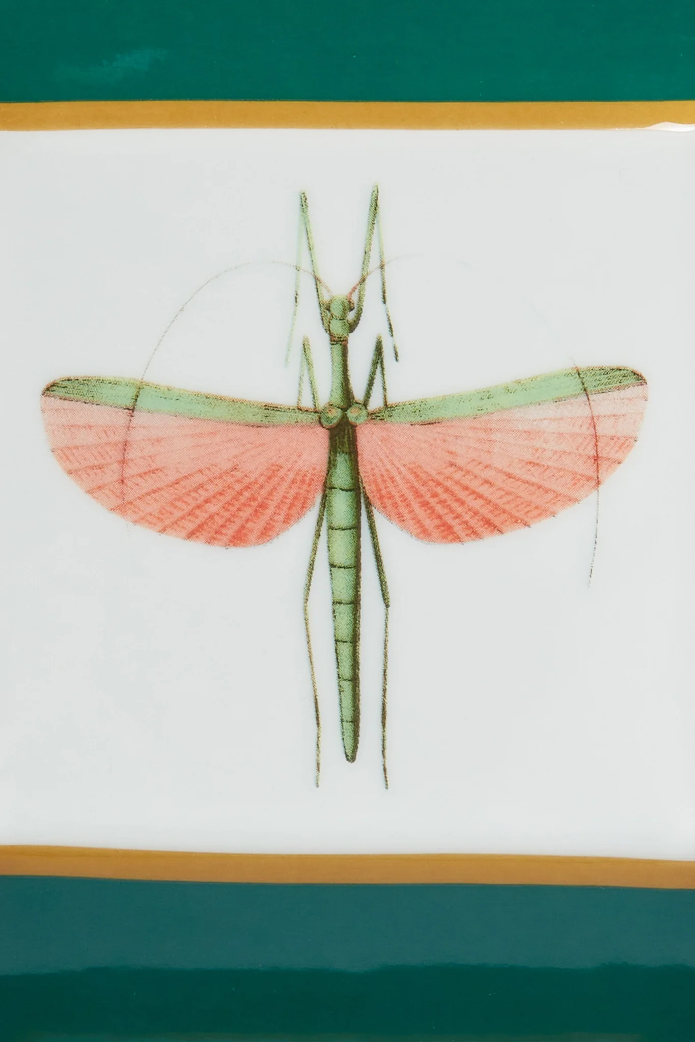Libellula Trinket Tray - Image 4
