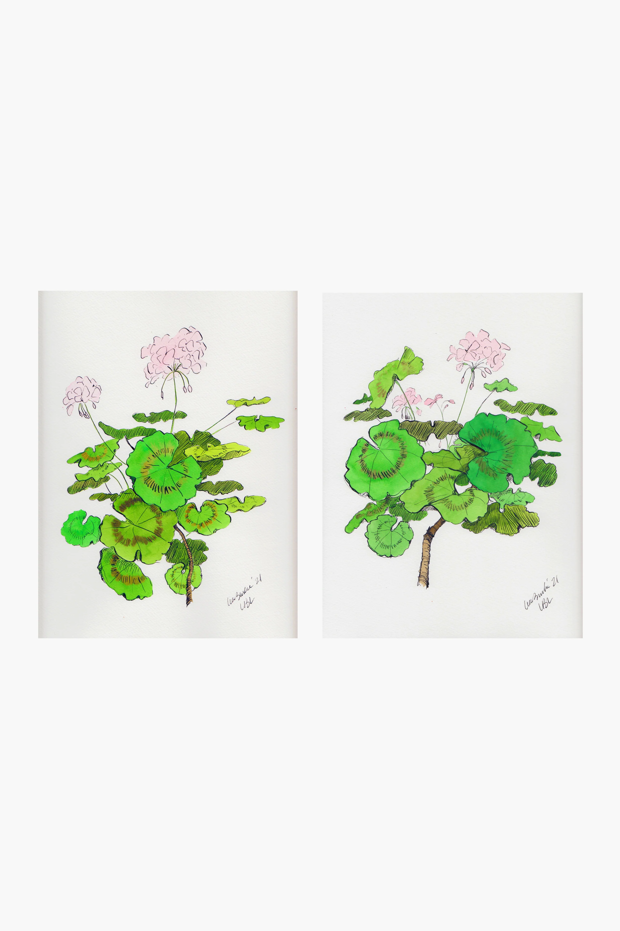 Light Pink Geraniums Set of 2 Prints - Image 2