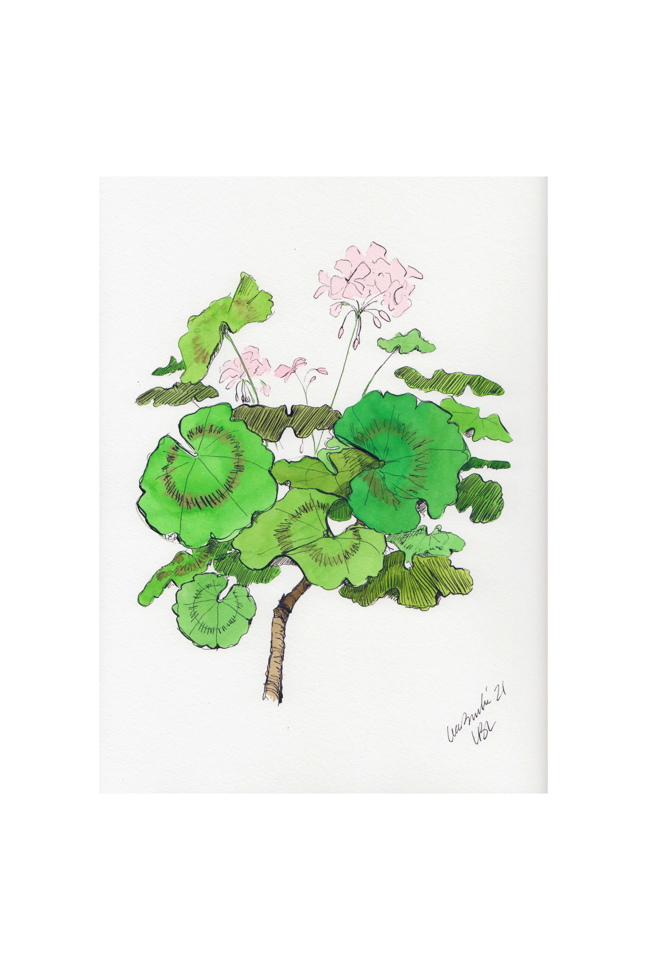 Light Pink Geraniums Set of 2 Prints - Image 3
