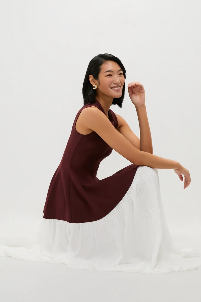 Mahogany Multi Raleigh Midi Dress - Image 6