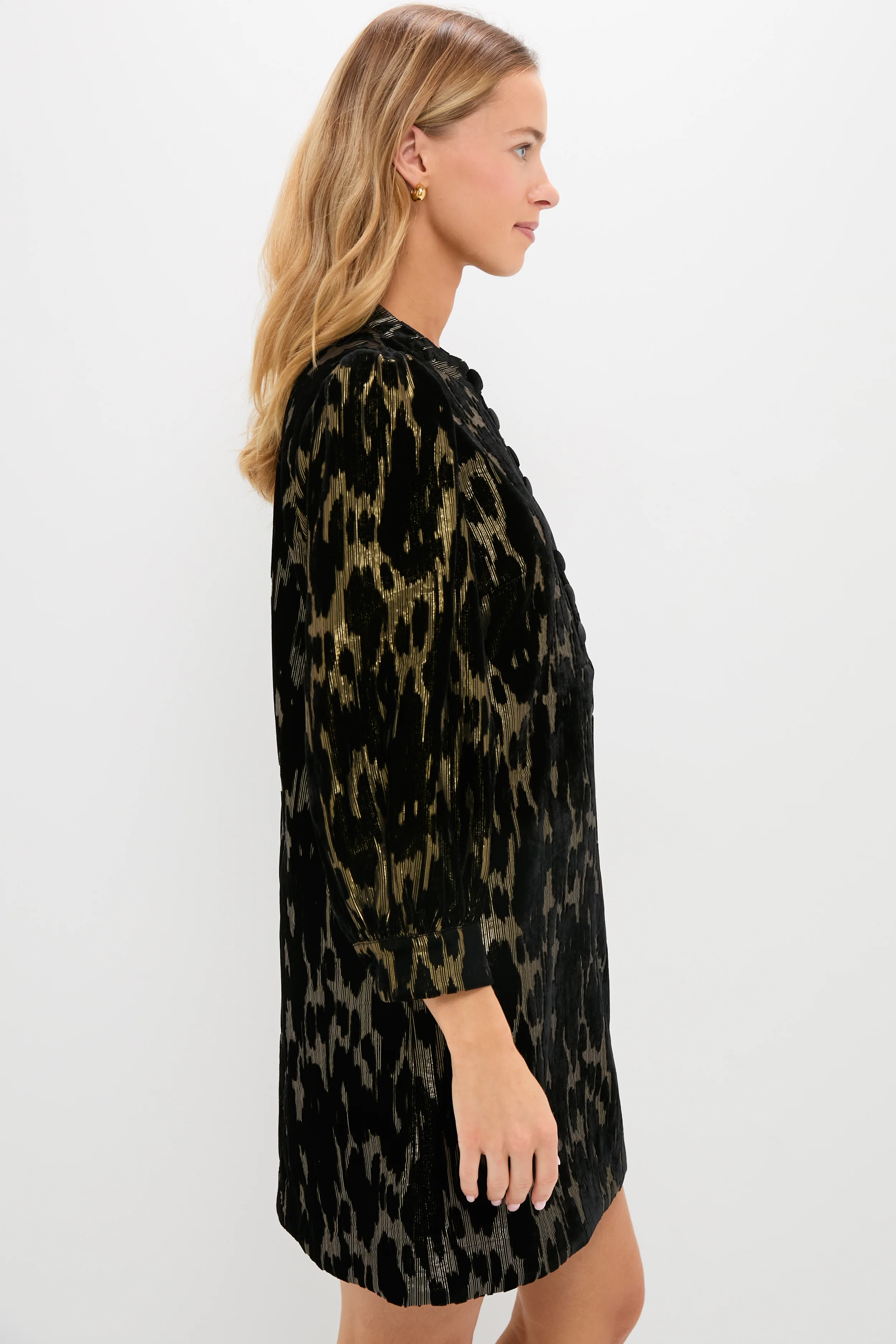 Metallic Velvet Burnout Samantha Dress - Image 3