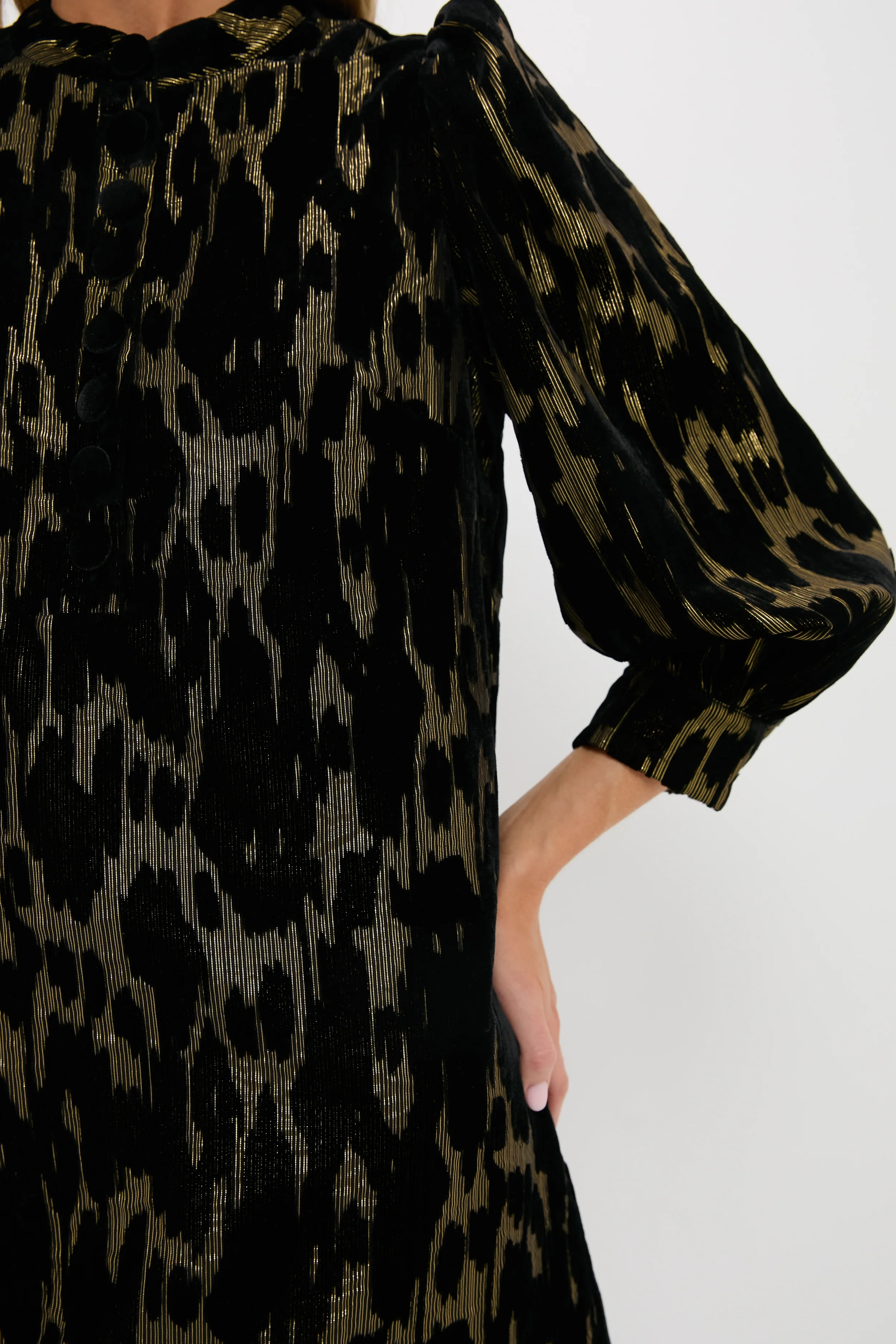 Metallic Velvet Burnout Samantha Dress - Image 5