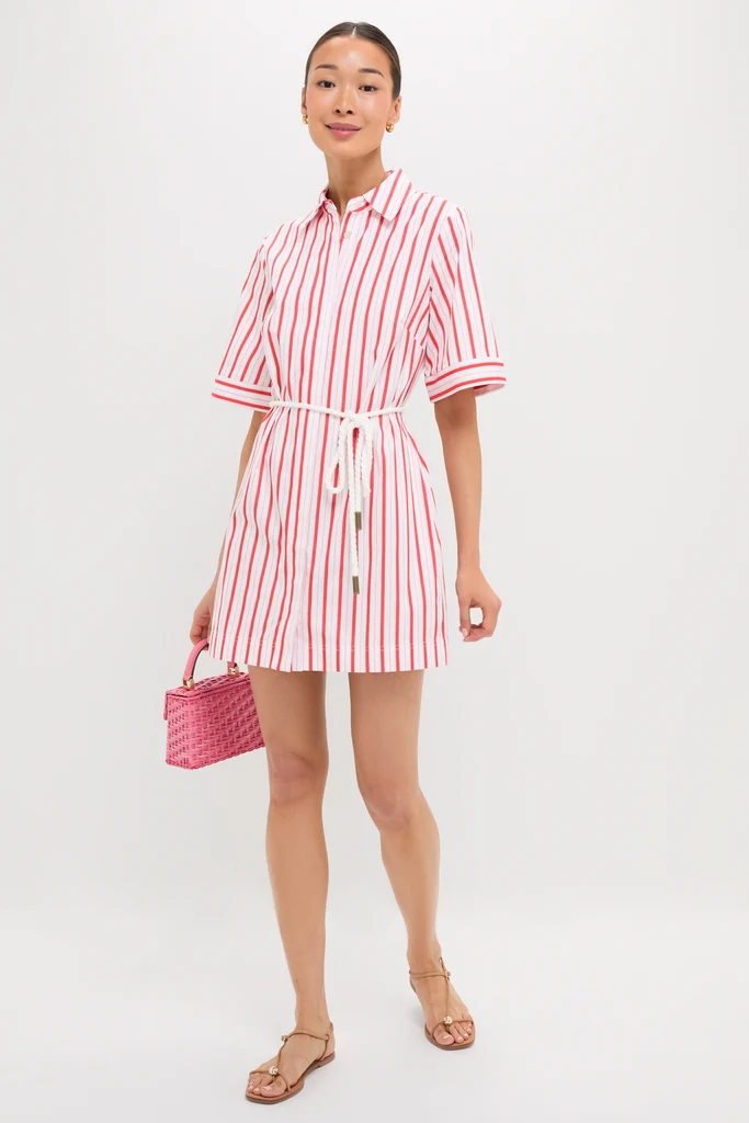 Red Stripe Maddie Mini Dress - Image 2