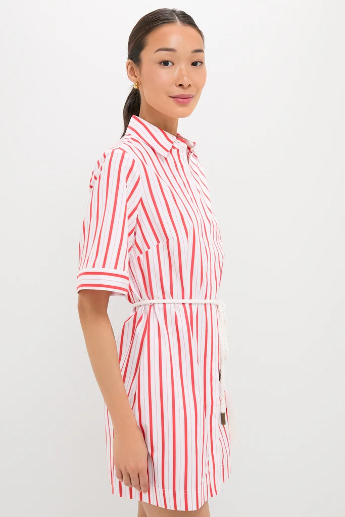 Red Stripe Maddie Mini Dress - Image 3