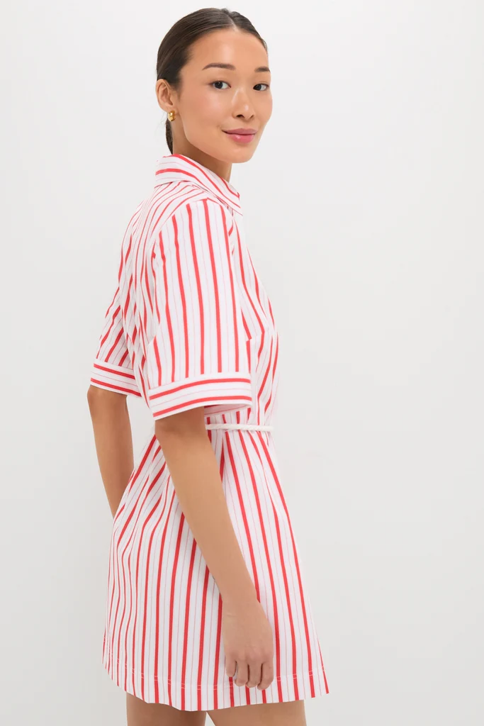 Red Stripe Maddie Mini Dress - Image 4