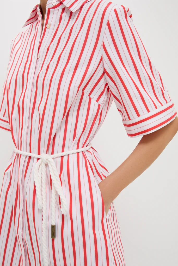 Red Stripe Maddie Mini Dress - Image 5