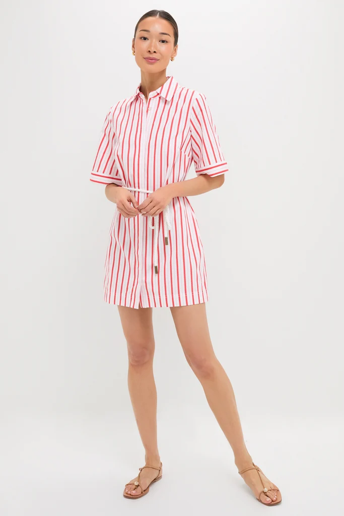 Red Stripe Maddie Mini Dress - Image 6