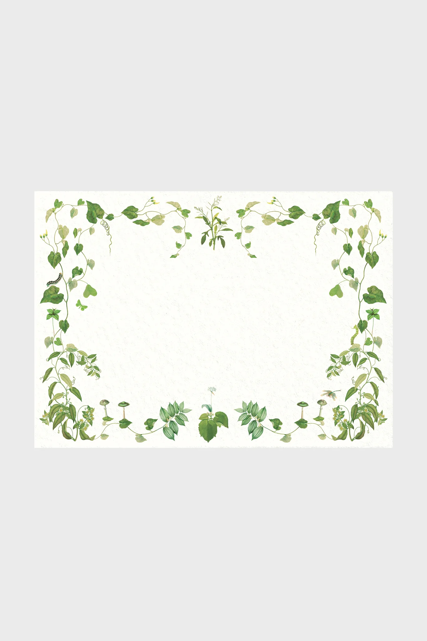 Selva Stationery - Image 2