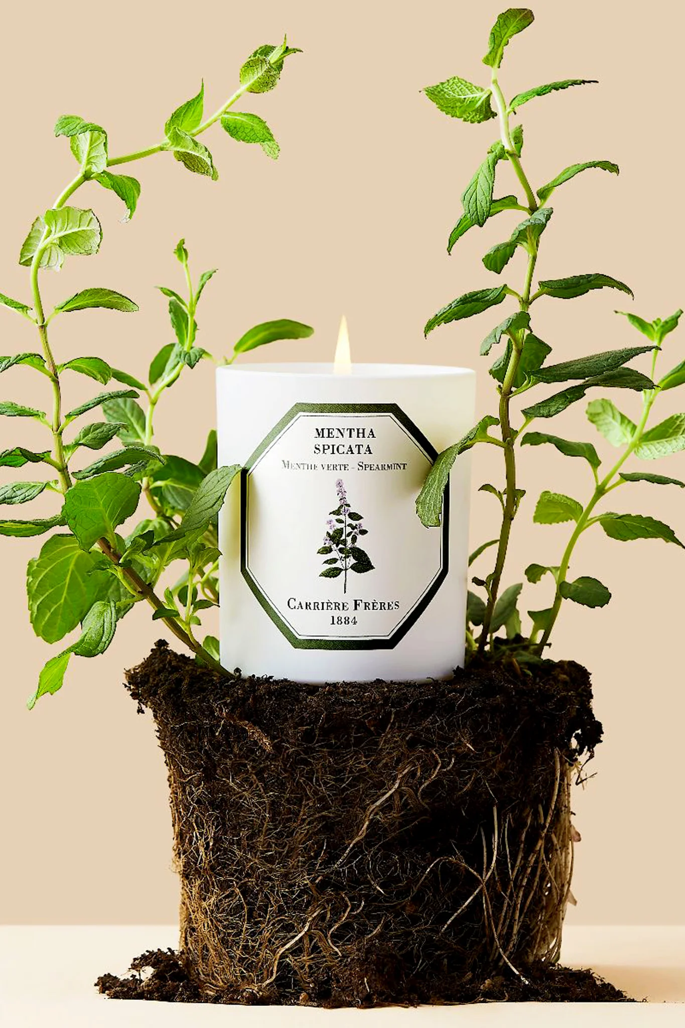 Spearmint Candle - Image 4