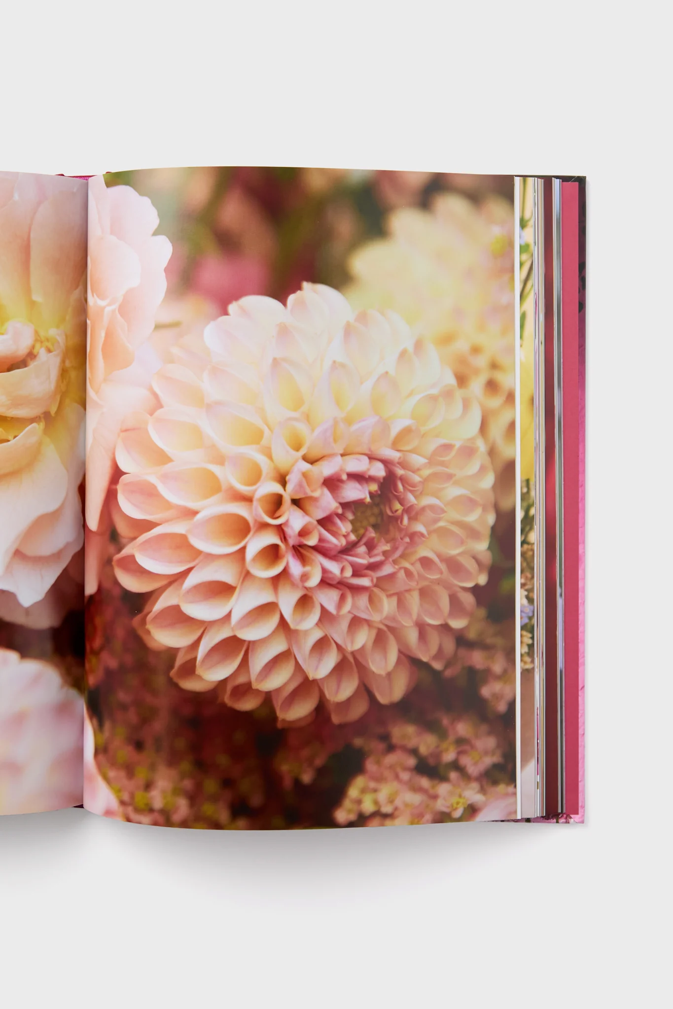The Artistry of Flowers - Image 2