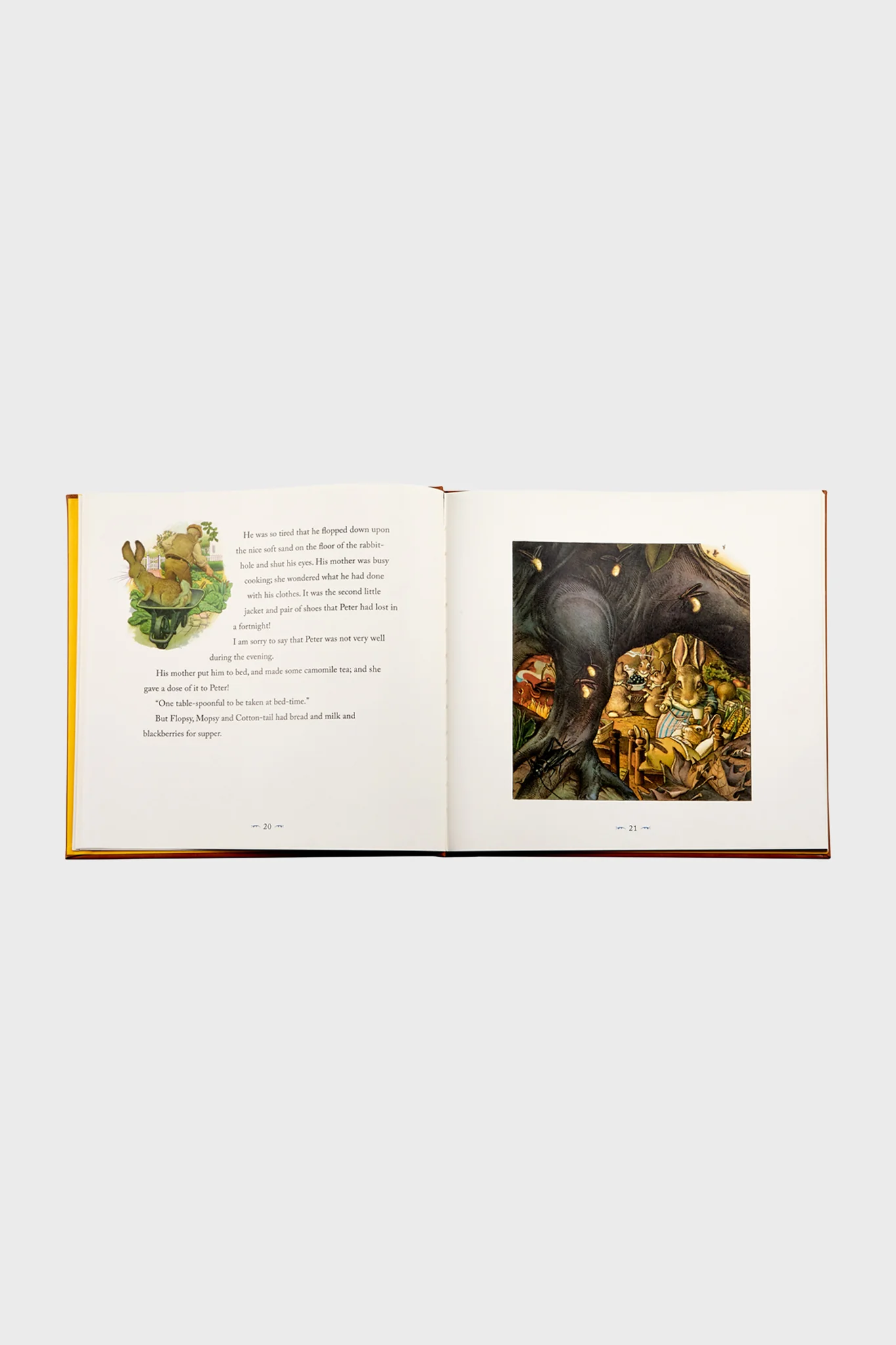 The Classic Tale of Peter Rabbit - Image 3