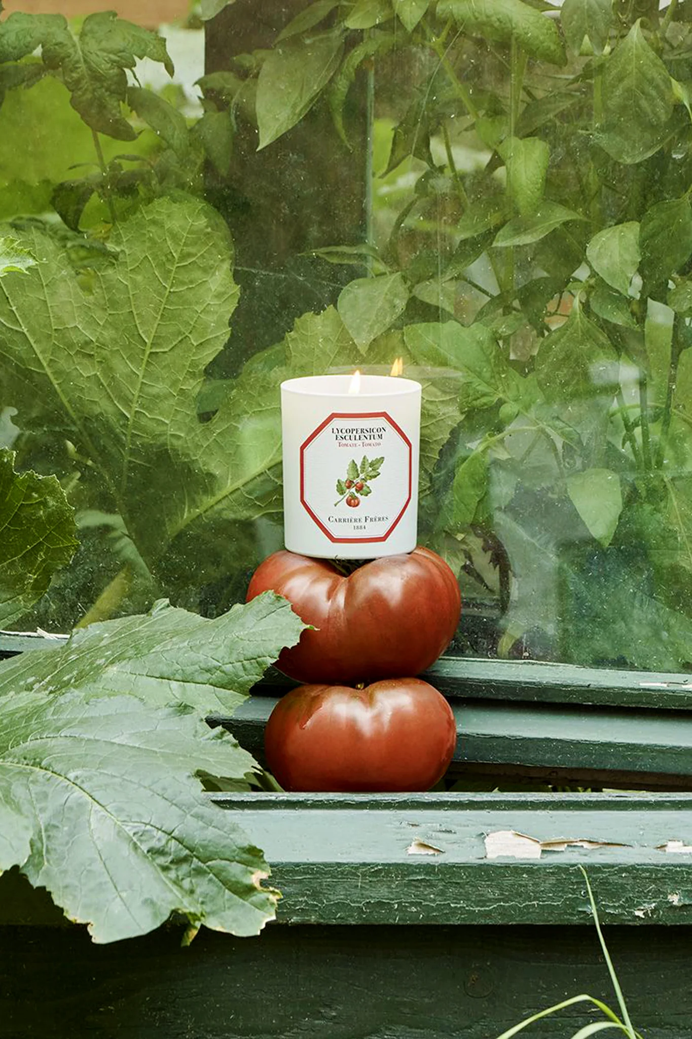 Tomato Candle - Image 2