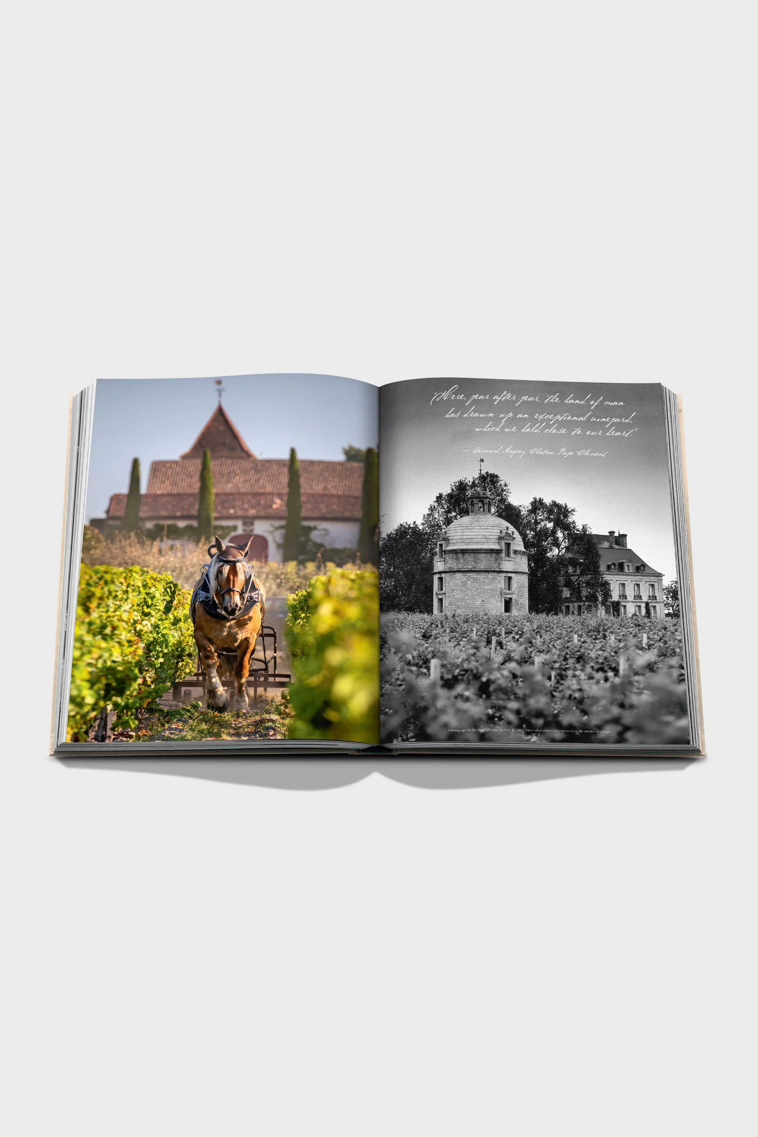 Wine & Travel France - Image 4