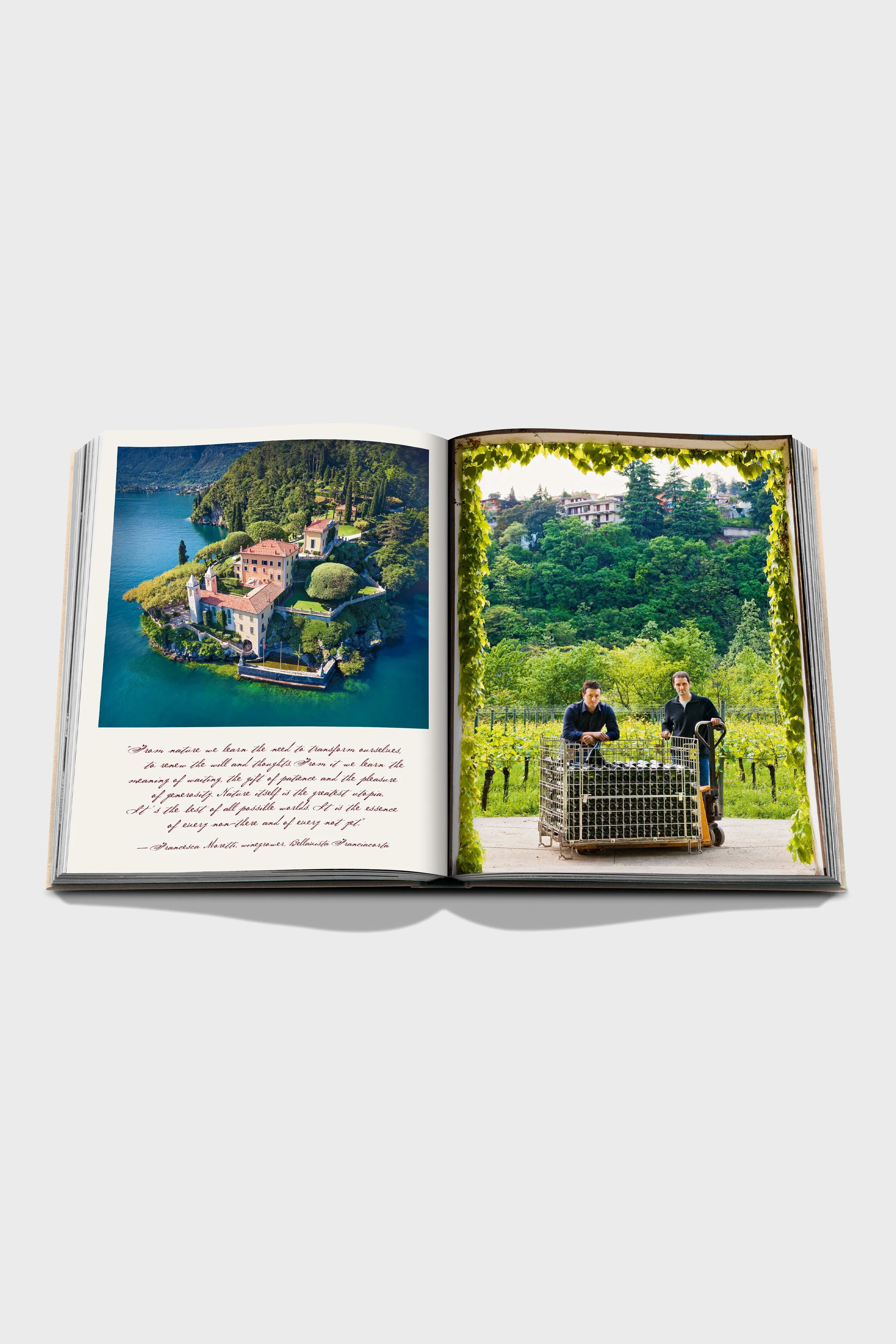 Wine & Travel Italy - Image 2