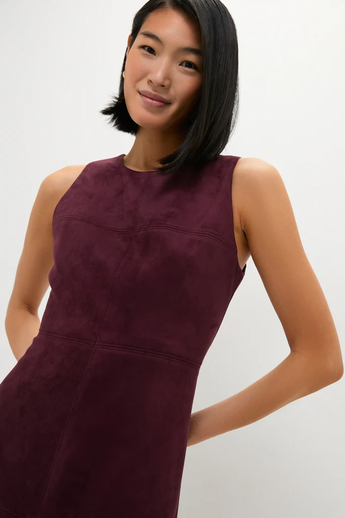 Winetasting Vegan Suede Manon Dress - Image 5